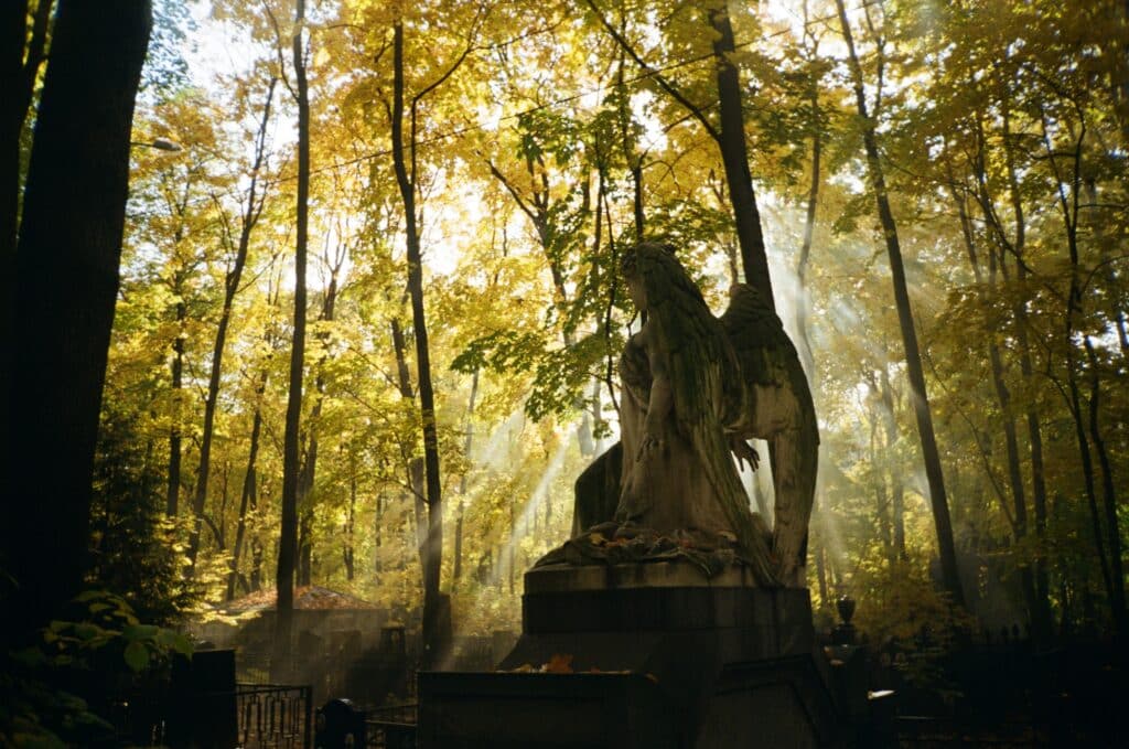 Image shows a headstone of an angel in a forested cemetery with sunlight streaming through the trees.