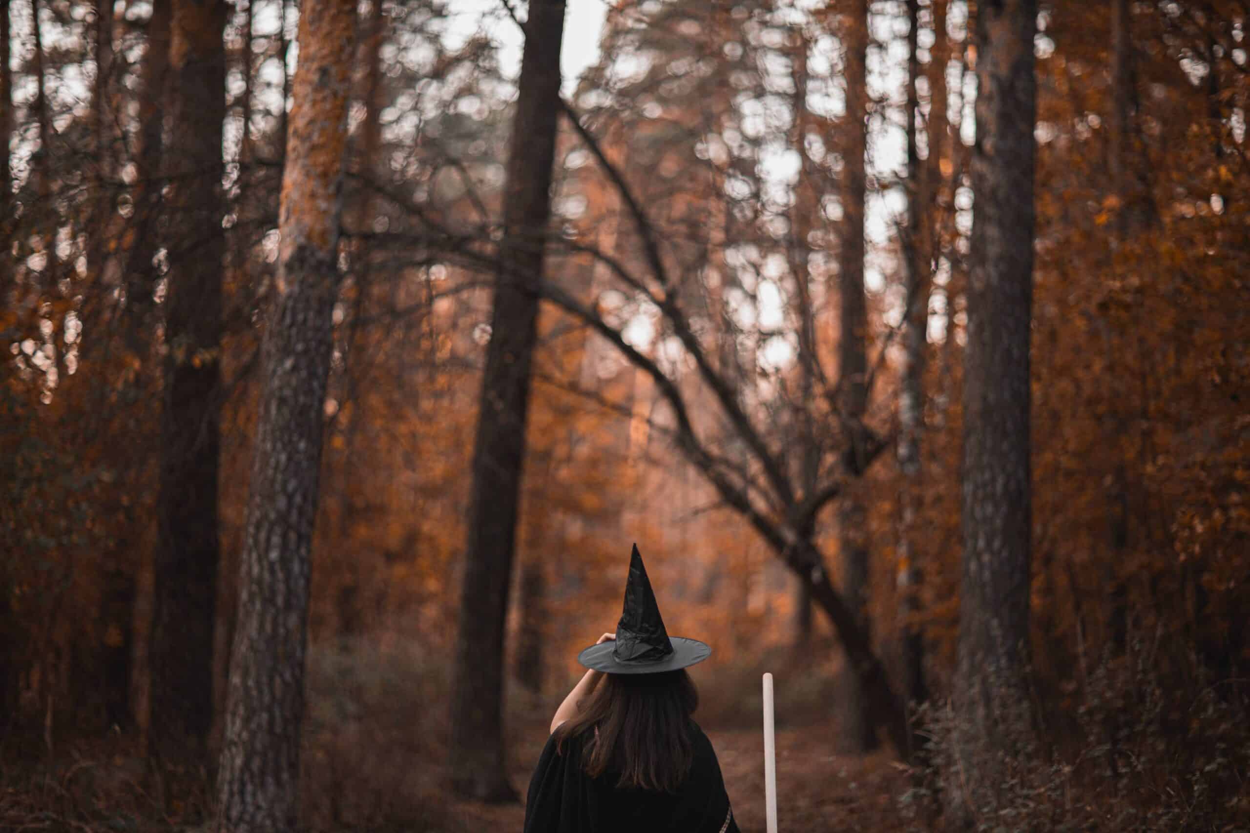 A person with long hair wearing a pointed witch hat walks into a forest