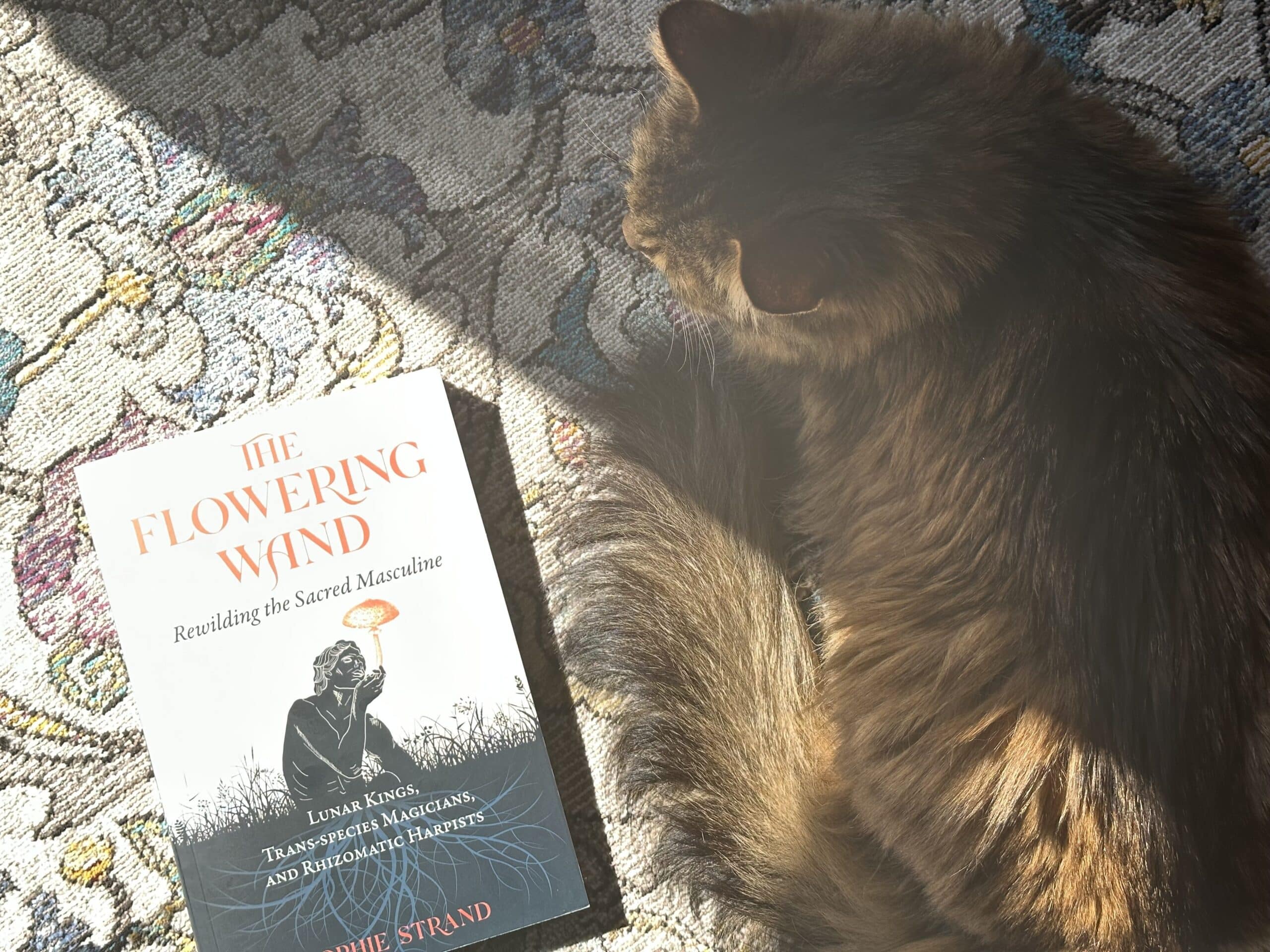 Lex's long haired tabby cat sitting next to a copy of The Flowering Wand on a patterned carpet.